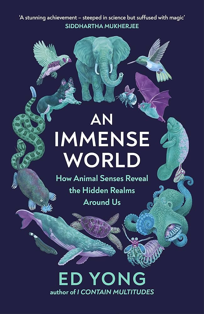 An Immense World book cover